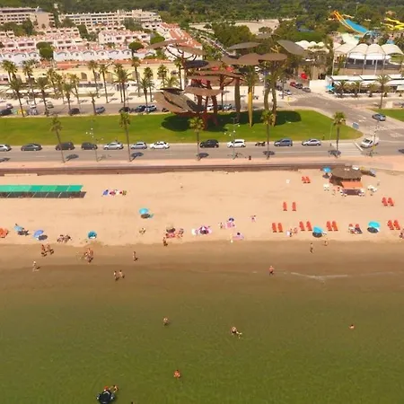 Sun And Beach Lovers 13249