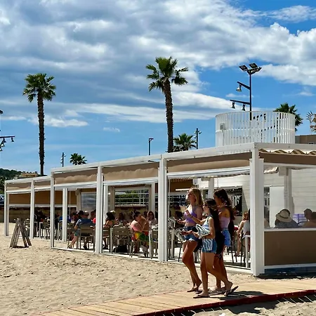 Sun And Beach Lovers 13249